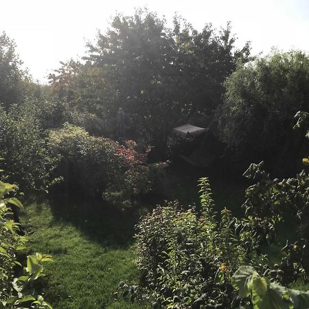Fewo In Sonniger Lage In 사가드 외부 사진