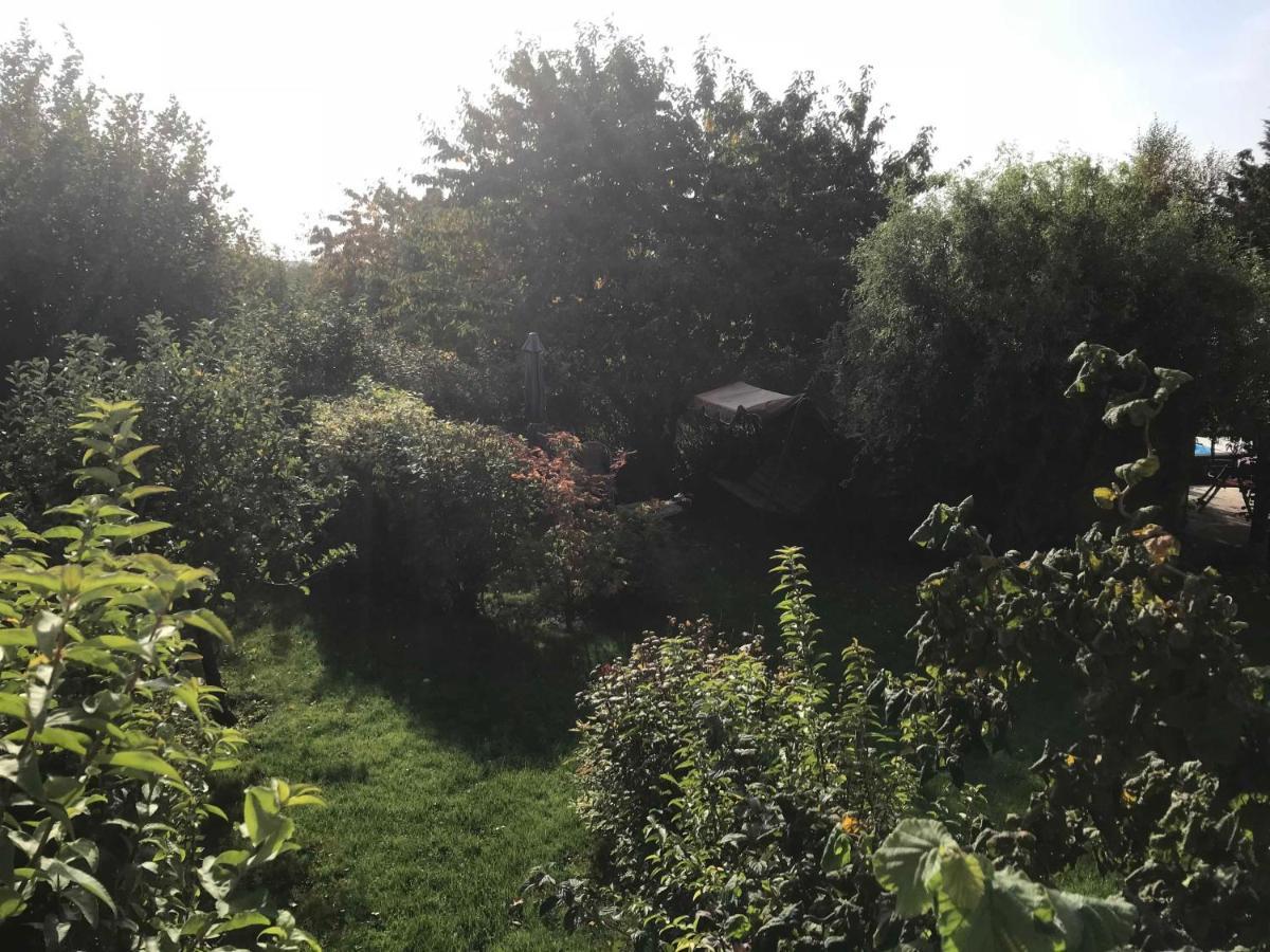 Fewo In Sonniger Lage In 사가드 외부 사진